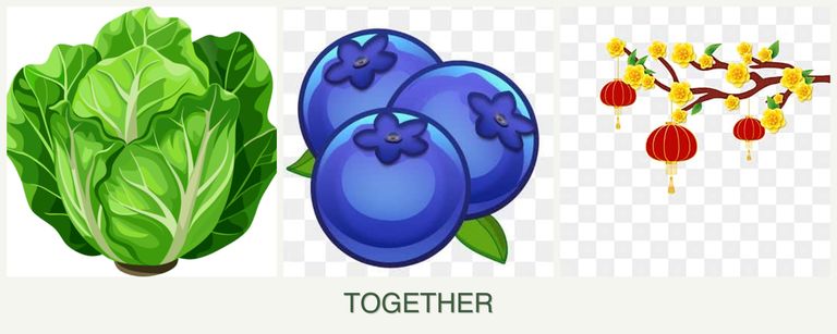 Can you plant lettuce, blueberries and apricots together?
