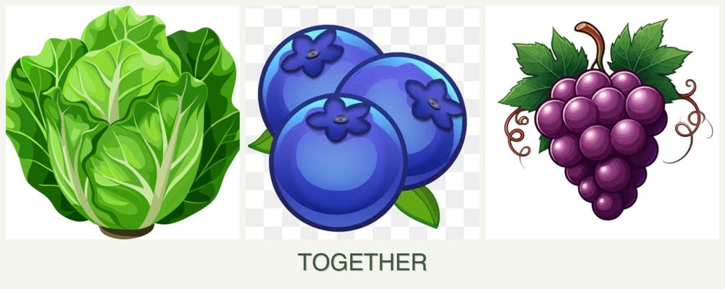 Can you plant lettuce, blueberries and grapes together?