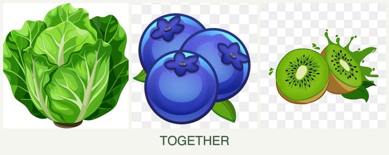 Can you plant lettuce, blueberries and kiwi together?