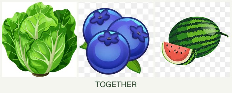 Can you plant lettuce, blueberries and melons together?