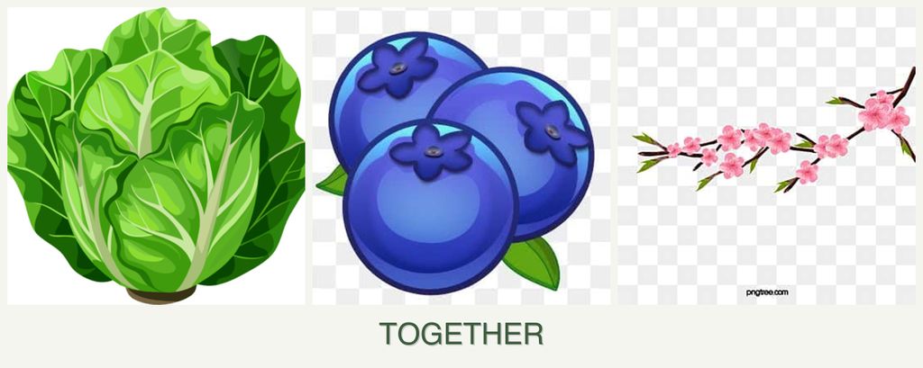 Can you plant lettuce, blueberries and peaches together?