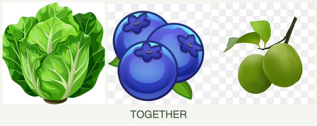 Can you plant lettuce, blueberries and plums together?