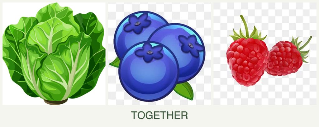 Can you plant lettuce, blueberries and raspberries together?