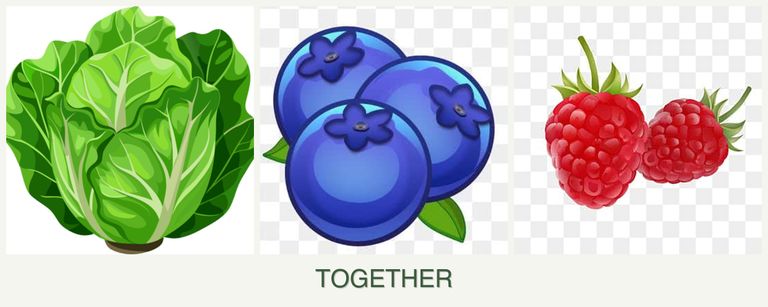 Can you plant lettuce, blueberries and raspberries together?