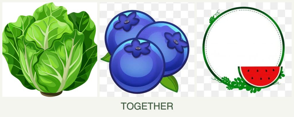 Can you plant lettuce, blueberries and watermelons together?