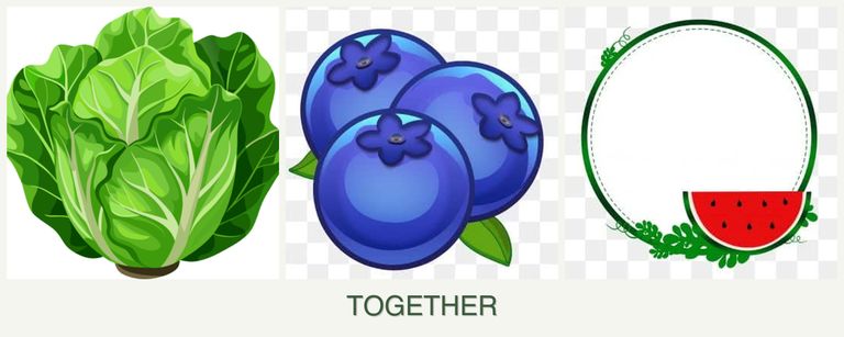 Can you plant lettuce, blueberries and watermelons together?