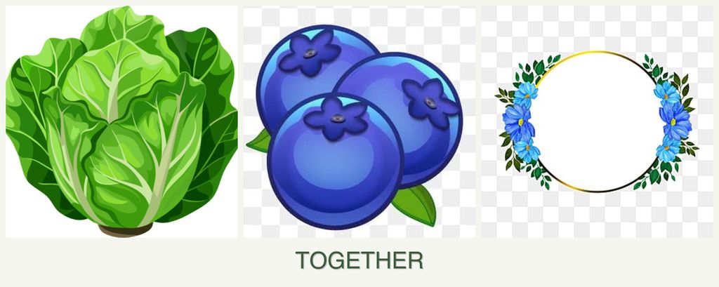 Can you plant lettuce, blueberries and zinnias together?