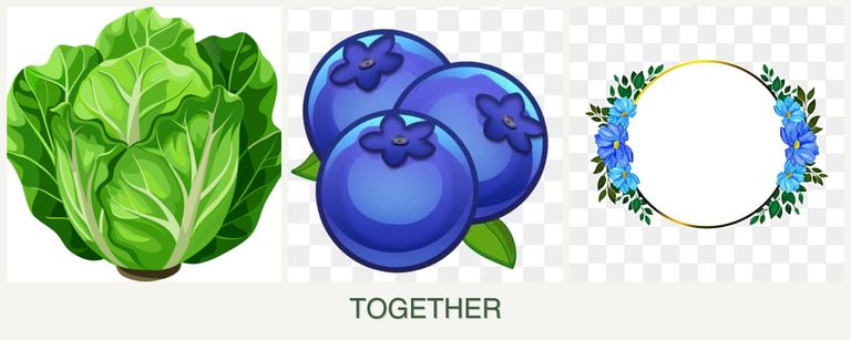 Can you plant lettuce, blueberries and zinnias together?