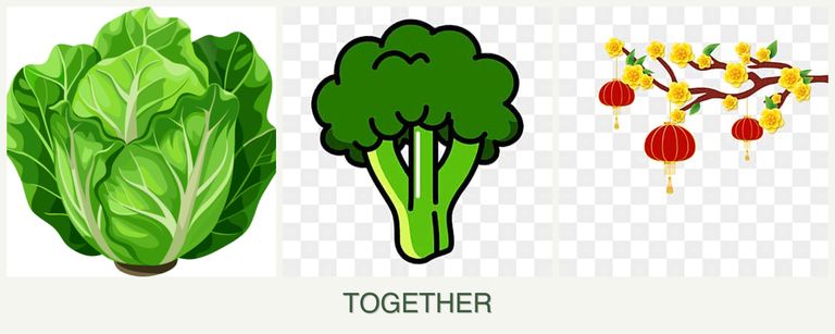 Can you plant lettuce, broccoli and apricots together?