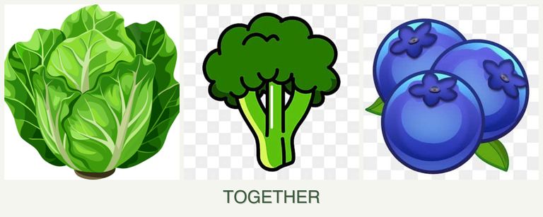 Can you plant lettuce, broccoli and blueberries together?
