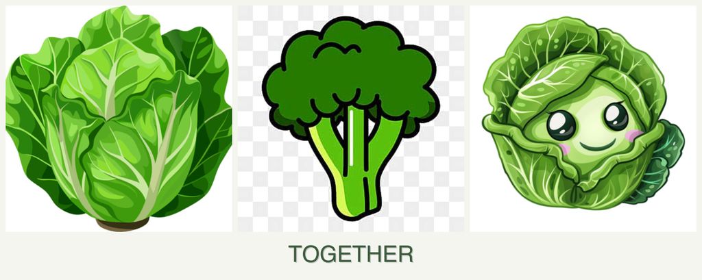 Can you plant lettuce, broccoli and cabbage together?
