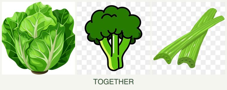 Can you plant lettuce, broccoli and celery together?
