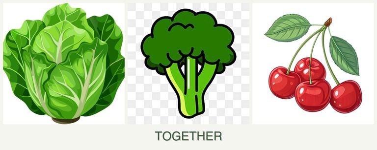 Can you plant lettuce, broccoli and cherries together?