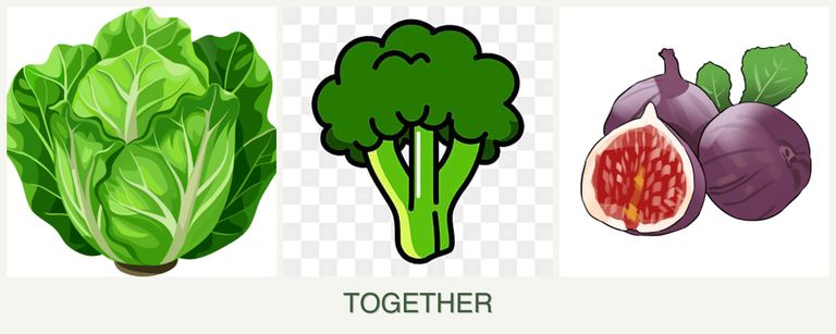Can you plant lettuce, broccoli and figs together?