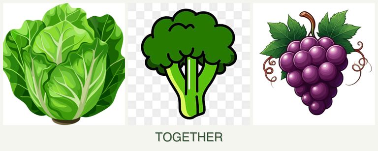 Can you plant lettuce, broccoli and grapes together?