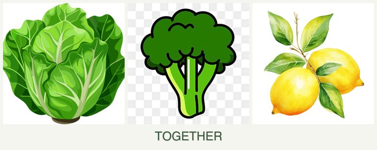 Can you plant lettuce, broccoli and lemons together?