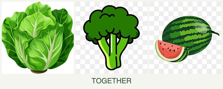Can you plant lettuce, broccoli and melons together?