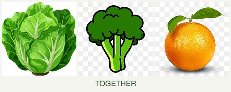 Can you plant lettuce, broccoli and oranges together?