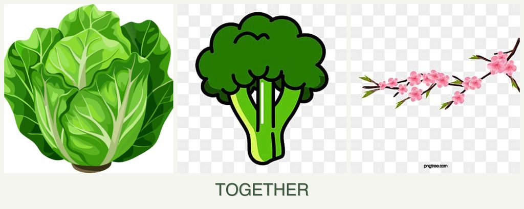 Can you plant lettuce, broccoli and peaches together?