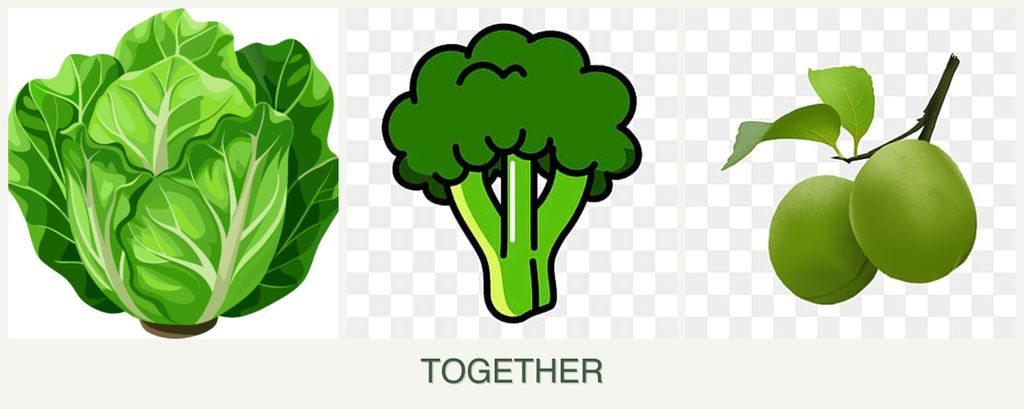 Can you plant lettuce, broccoli and plums together?