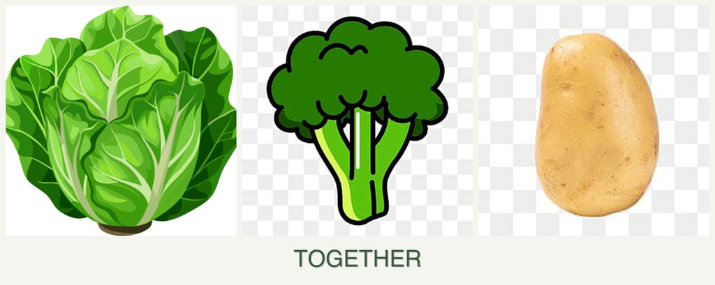 Can you plant lettuce, broccoli and potatoes together?