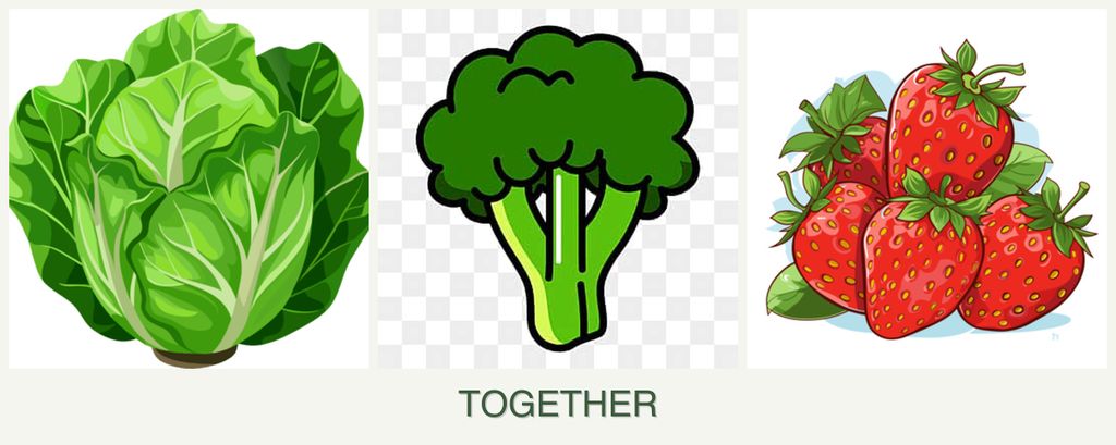 Can you plant lettuce, broccoli and strawberries together?