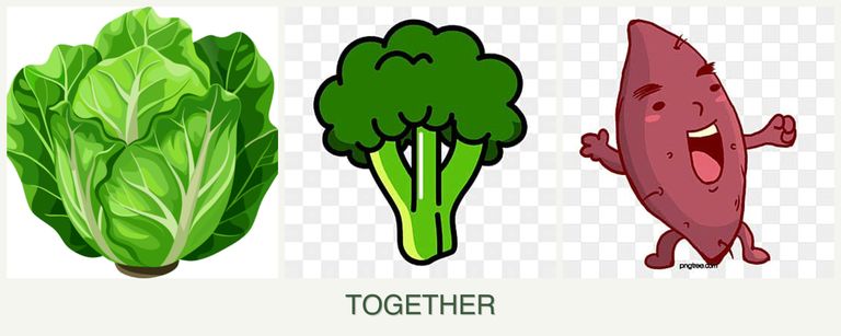 Can you plant lettuce, broccoli and sweet potatoes together?