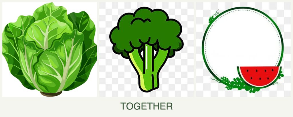Can you plant lettuce, broccoli and watermelons together?