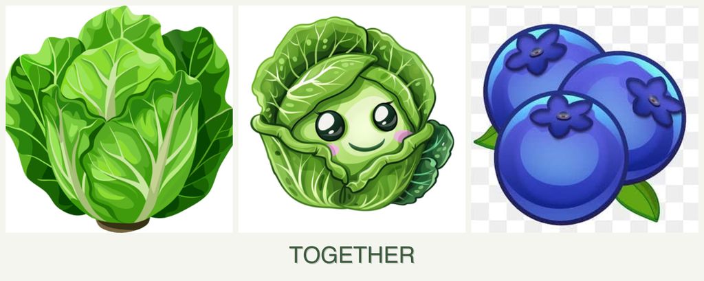 Can you plant lettuce, cabbage and blueberries together?