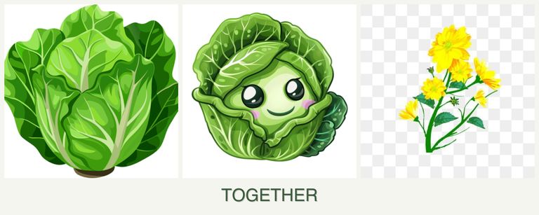 Can you plant lettuce, cabbage and calendula together?
