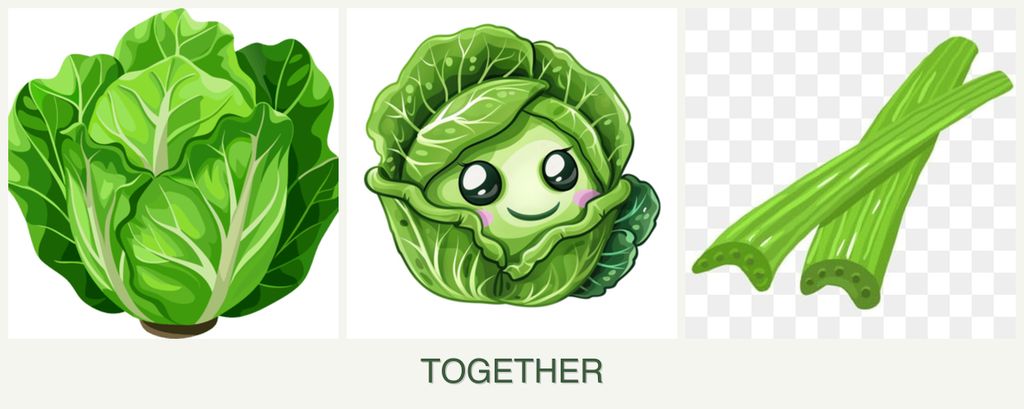 Can you plant lettuce, cabbage and celery together?