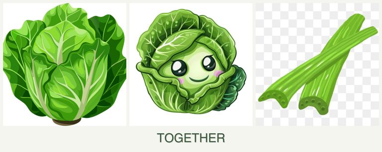 Can you plant lettuce, cabbage and celery together?