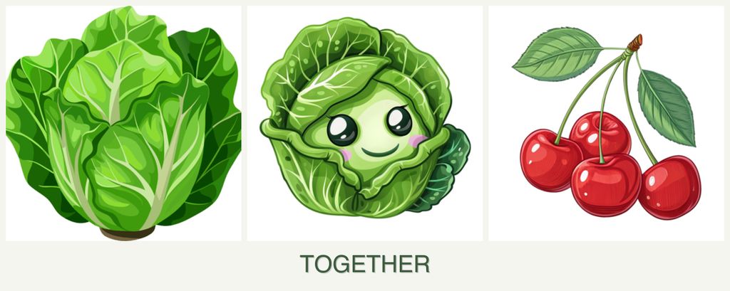 Can you plant lettuce, cabbage and cherries together?