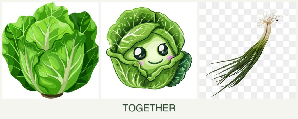 Can you plant lettuce, cabbage and chives together?