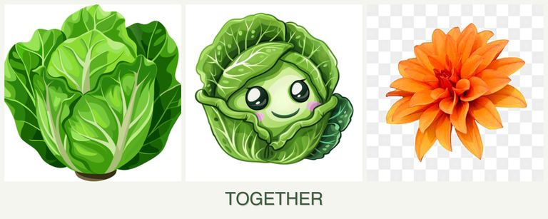 Can you plant lettuce, cabbage and dahlias together?