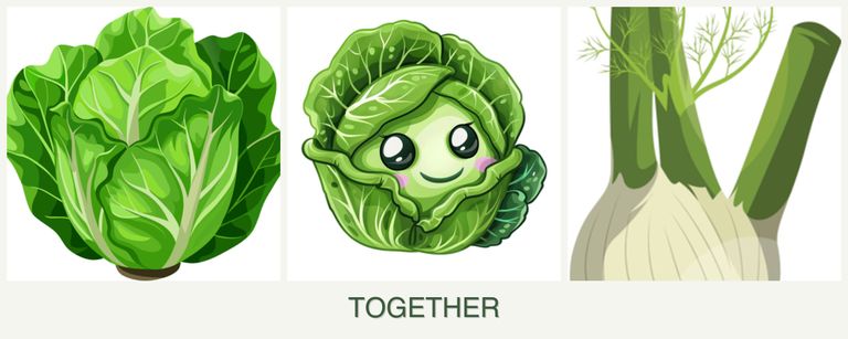 Can you plant lettuce, cabbage and fennel together?
