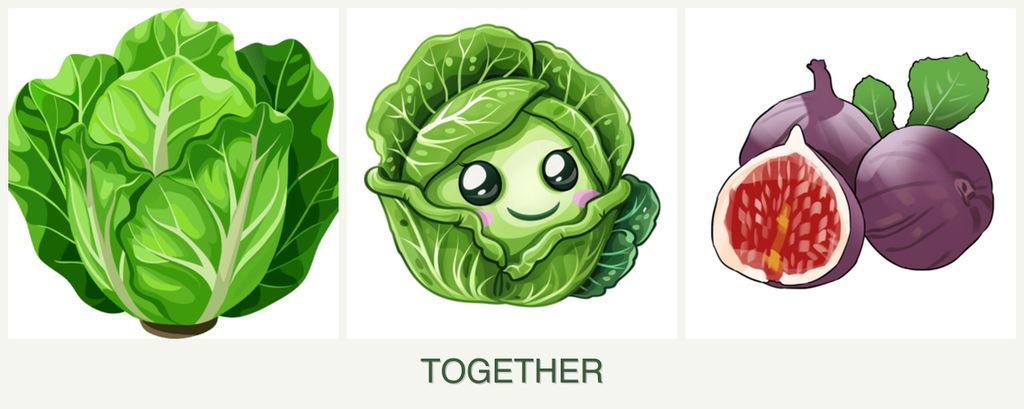 Can you plant lettuce, cabbage and figs together?