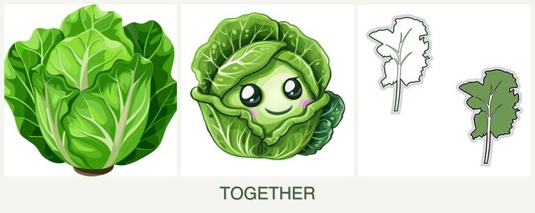 Can you plant lettuce, cabbage and kale together?