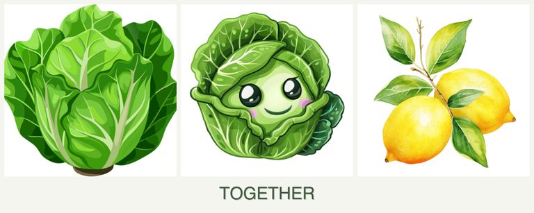 Can you plant lettuce, cabbage and lemons together?