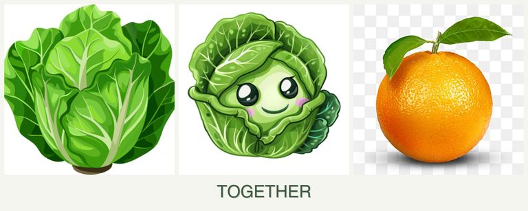 Can you plant lettuce, cabbage and oranges together?