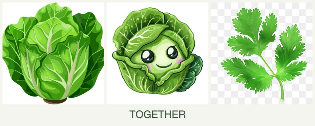 Can you plant lettuce, cabbage and parsley together?