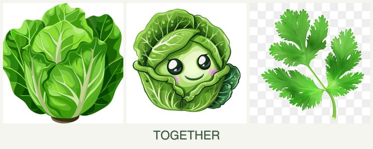 Can you plant lettuce, cabbage and parsley together?