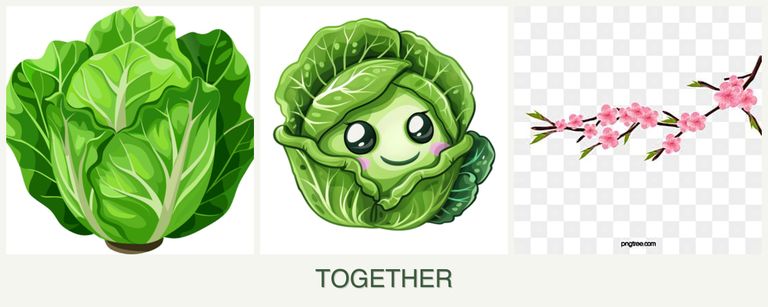 Can you plant lettuce, cabbage and peaches together?