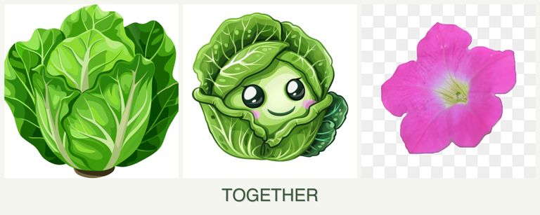 Can you plant lettuce, cabbage and petunias together?