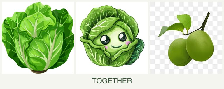 Can you plant lettuce, cabbage and plums together?
