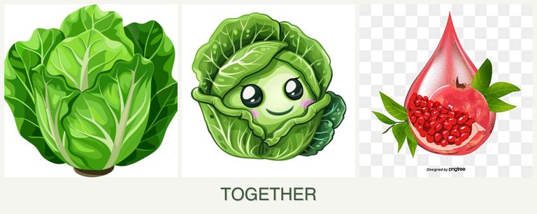 Can you plant lettuce, cabbage and pomegranates together?
