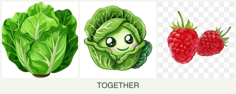 Can you plant lettuce, cabbage and raspberries together?