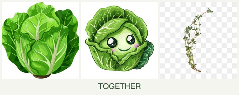 Can you plant lettuce, cabbage and thyme together?