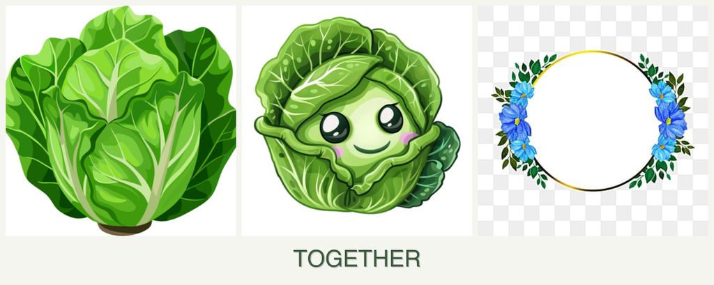 Can you plant lettuce, cabbage and zinnias together?