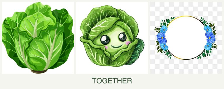 Can you plant lettuce, cabbage and zinnias together?